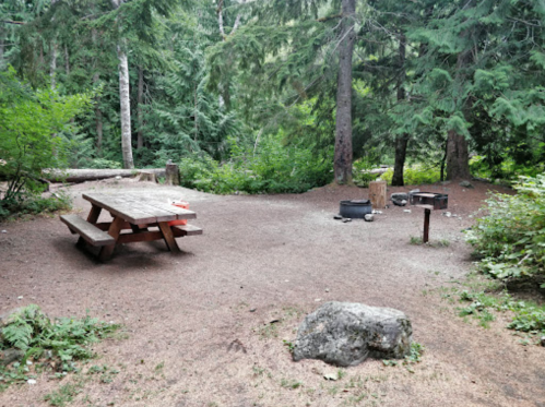A secluded campsite with a wooden picnic table, fire pit, and surrounded by tall trees and greenery.
