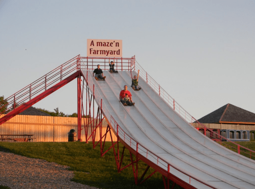 Children sliding down a large, sloped slide at a farm-themed amusement area, with a sign reading "A maze'n Farmyard."