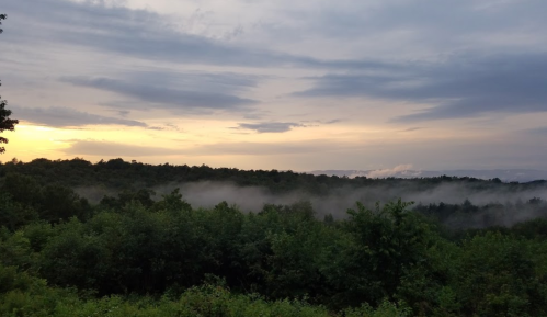 A serene landscape at sunset, with mist rising over lush green trees and a cloudy sky.
