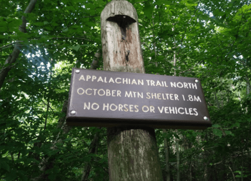 Signpost in a forest indicating the Appalachian Trail North, with directions to October Mountain Shelter 1.8 miles ahead.