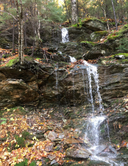 A serene forest scene featuring a small waterfall cascading over rocky terrain, surrounded by autumn foliage.