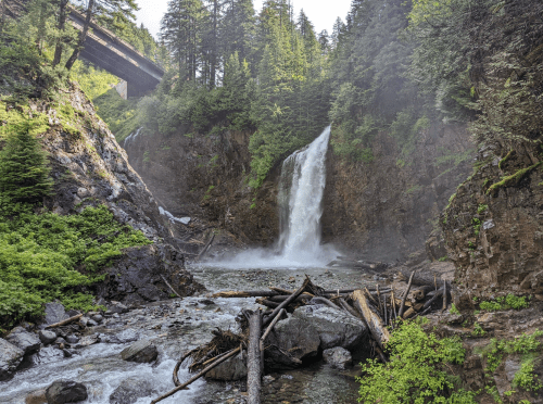 A waterfall cascades down rocky terrain, surrounded by lush greenery and fallen logs, with a bridge overhead.