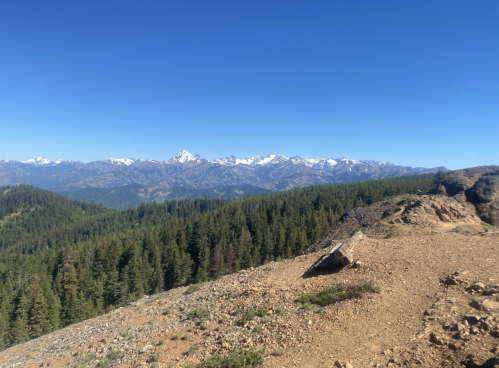 A panoramic view of snow-capped mountains above a dense forest under a clear blue sky.