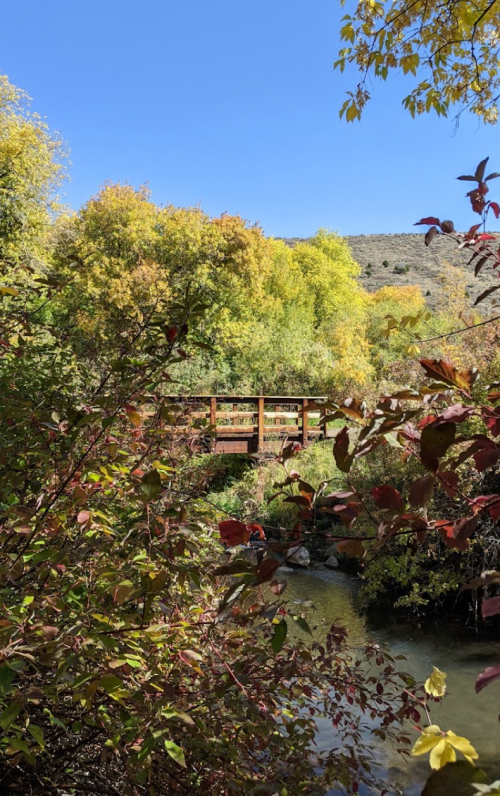 A wooden bridge surrounded by colorful autumn foliage over a serene stream under a clear blue sky.