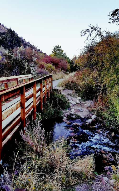 A wooden bridge crosses a small stream, surrounded by colorful autumn foliage and rocky terrain.