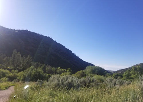 A scenic view of rolling hills and lush greenery under a clear blue sky.