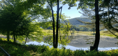 A serene landscape featuring a calm lake surrounded by lush trees and rolling hills under a clear blue sky.