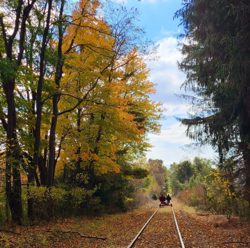 Two people ride a rail bike along a tree-lined track, surrounded by vibrant autumn foliage under a blue sky.