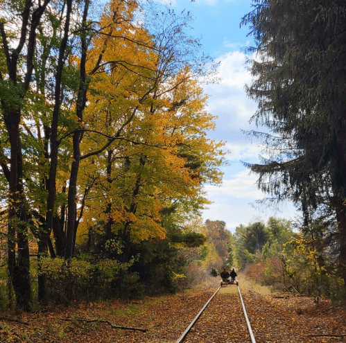 Two people ride a rail bike along a tree-lined track, surrounded by vibrant autumn foliage under a blue sky.