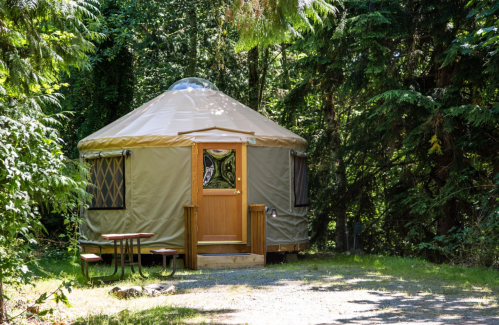 A cozy yurt surrounded by lush greenery, featuring a wooden door and a small table outside.