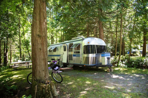 A silver Airstream trailer parked in a lush, green forest, with a bicycle leaning against a tree nearby.