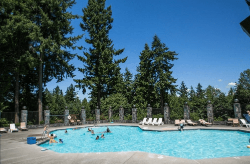 A sunny pool surrounded by tall trees, with people swimming and relaxing on lounge chairs.