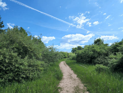 A winding dirt path through lush greenery under a bright blue sky with scattered clouds.