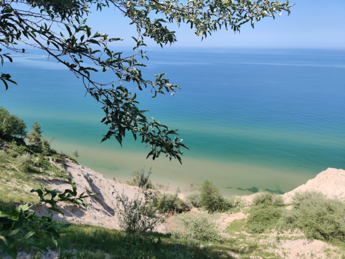 A serene view of a sandy shoreline meeting calm blue waters, framed by green foliage and a clear sky.
