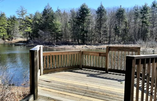 A wooden deck overlooking a calm pond surrounded by trees and a clear blue sky.