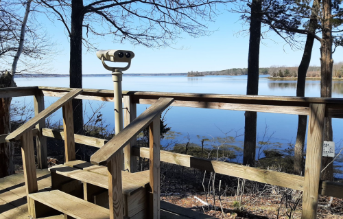 A wooden viewing platform with binoculars overlooks a calm lake surrounded by trees on a clear day.