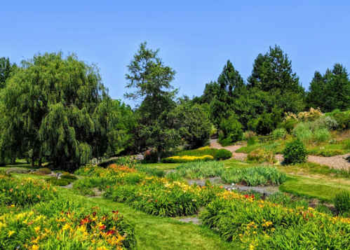 A vibrant garden with colorful flowers, lush greenery, and trees under a clear blue sky.