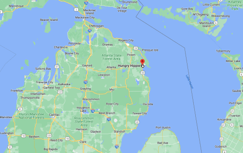 Map showing northern Michigan with a marker for "Hungry Hippie" near Lake Huron.