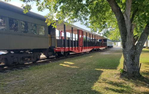 A vintage train with a red car parked beside a tree in a grassy area, under a clear blue sky.