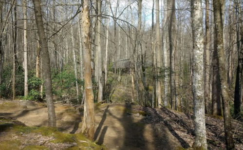 A wooded trail with bare trees and soft ground, leading into a serene forest landscape.