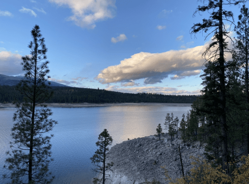 A serene lake surrounded by trees under a blue sky with fluffy clouds, reflecting on the water's surface.