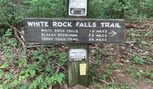 Wooden trail sign for White Rock Falls Trail, indicating distances to White Rock Falls, Slacks Overlook, and Torry Ridge Trail.