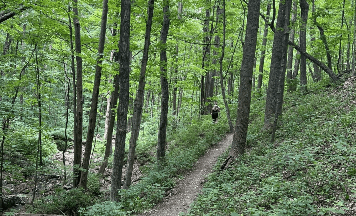White Rock Falls Loop: Beautiful Loop Trails In Virginia