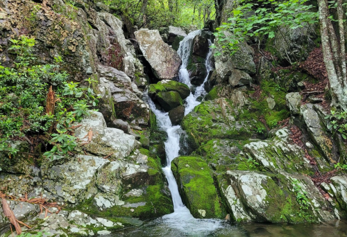 A serene waterfall cascading over moss-covered rocks in a lush, green forest.