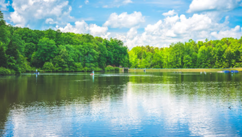 A serene lake surrounded by lush green trees under a bright blue sky with fluffy white clouds.