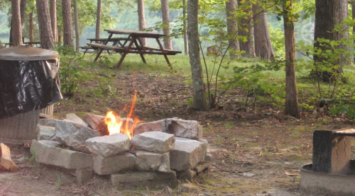 A small campfire surrounded by stones in a wooded area, with picnic tables visible in the background.