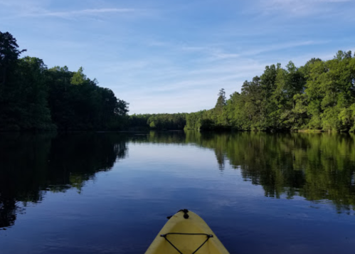 A serene view from a yellow kayak on calm waters, surrounded by lush green trees and a clear blue sky.