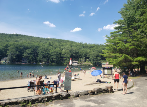 A sandy beach by a lake with people swimming, lounging, and enjoying a sunny day surrounded by trees.
