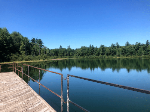 A serene lake surrounded by trees, viewed from a wooden dock under a clear blue sky.