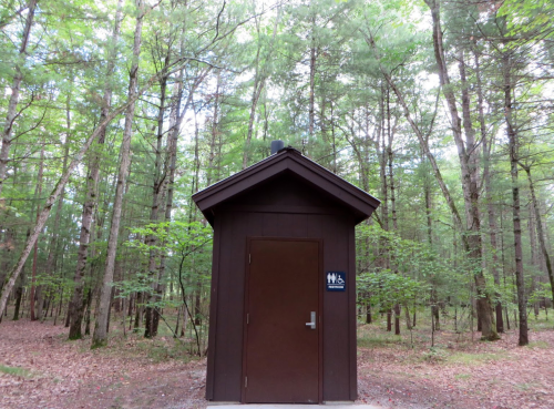 A small brown restroom building surrounded by tall trees in a forested area.