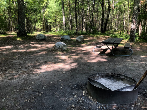 A campsite in a forest with a fire pit, picnic table, and scattered rocks under dappled sunlight.