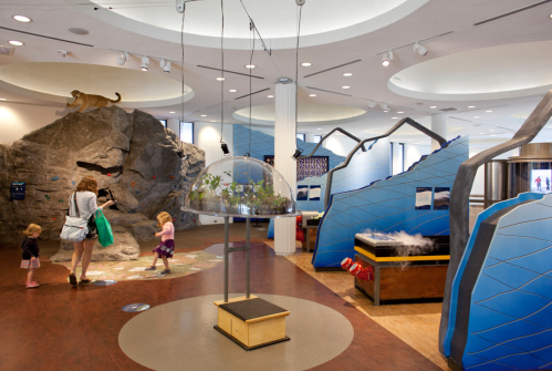 A children's museum exhibit featuring a rock climbing wall, interactive displays, and a nature-themed environment.