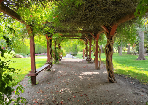 A shaded pathway under a vine-covered pergola, leading to a garden with lush greenery and a distant gate.