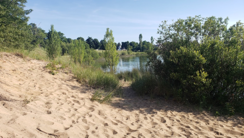 A sandy path leads to a calm lake surrounded by greenery and trees under a clear blue sky.