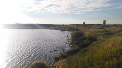 A serene lakeside view with grassy banks and gentle waves under a clear sky.