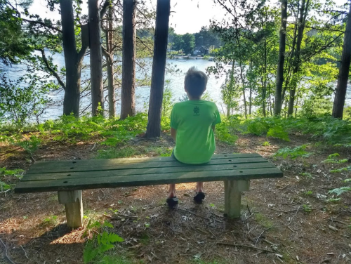 A person sits on a bench in a forest, gazing at a serene lake surrounded by trees and greenery.