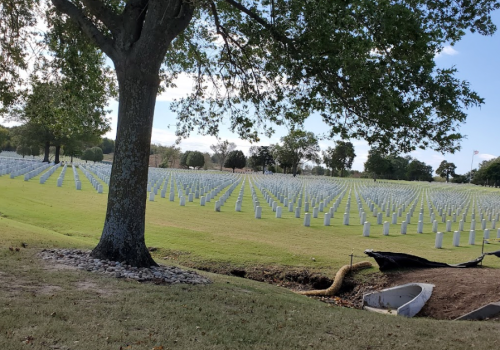 A serene cemetery with rows of white headstones, framed by a large tree and a clear blue sky.