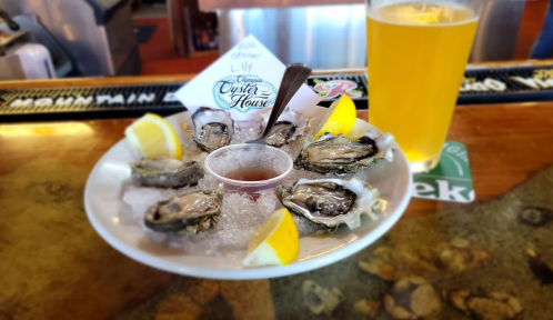 A plate of oysters on ice with lemon wedges and cocktail sauce, alongside a glass of beer at a bar.