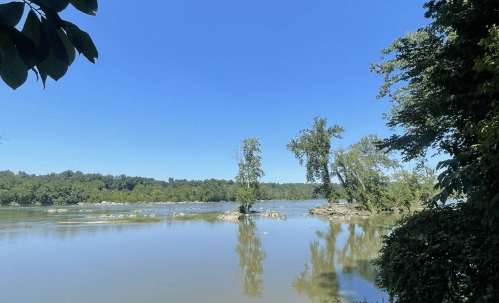 A serene river scene with trees and rocks under a clear blue sky, surrounded by lush greenery.