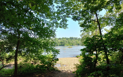A serene river view framed by lush green trees under a clear blue sky.