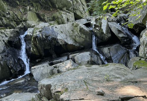 A serene scene of water cascading over rocky formations in a lush, green forest.