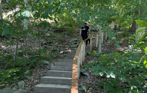 A person walks up a wooden staircase surrounded by lush greenery and rocky terrain.