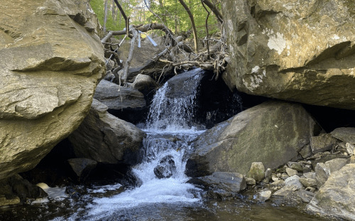 A small waterfall flows between large rocks, surrounded by greenery and tree branches.
