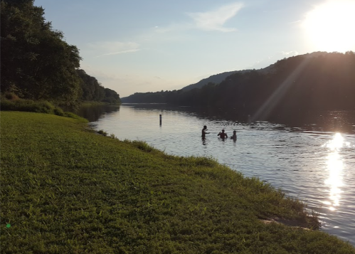 A serene river scene at sunset, with three people wading in the water and lush green grass along the shore.