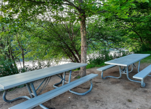 Two gray picnic tables under trees by a river, surrounded by greenery and a peaceful natural setting.