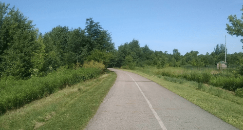 A paved path winds through lush greenery under a clear blue sky, inviting outdoor activities.